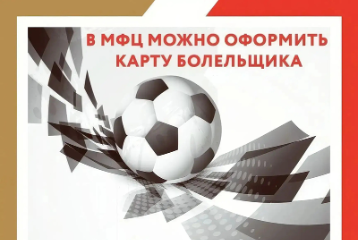 В МФЦ Чеченской Республики можно оформить карту болельщика (FAN ID)